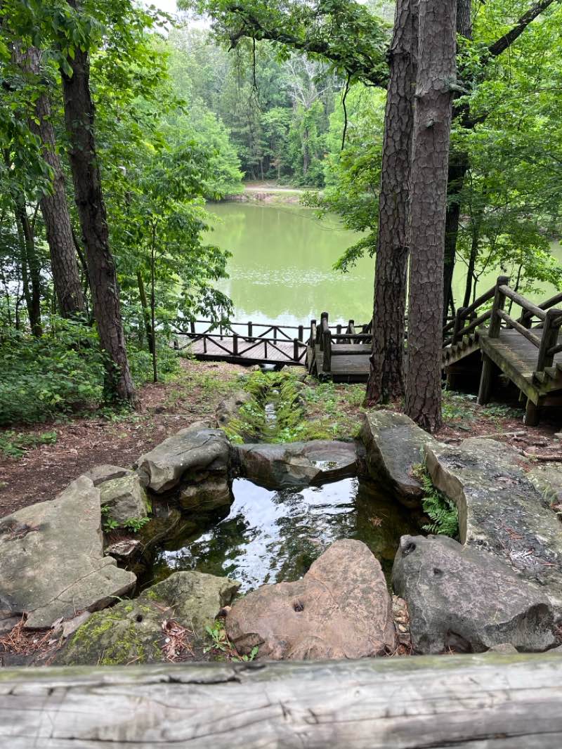 walking near me in Crowleys Ridge State Park in autumn