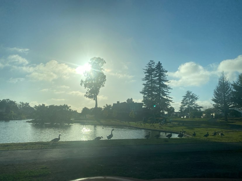 walking near me in Lakeshore Park in summer