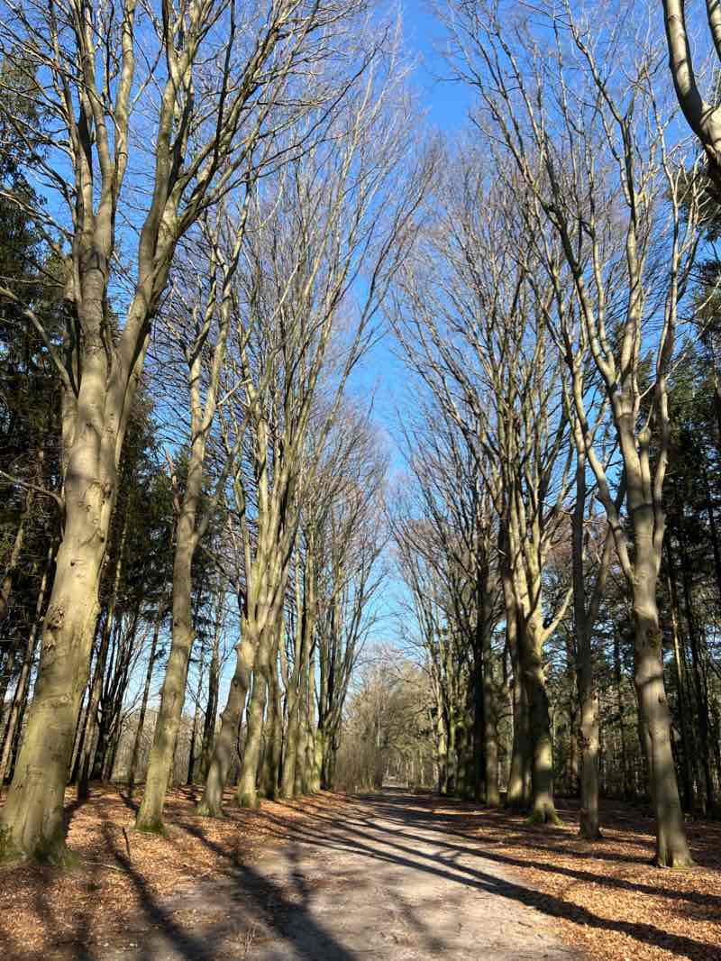 walking near me in Sterrenbos in winter