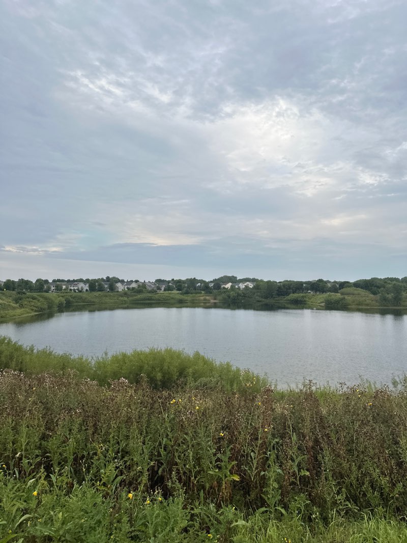 walking near me in Maple Lakes Park in summer