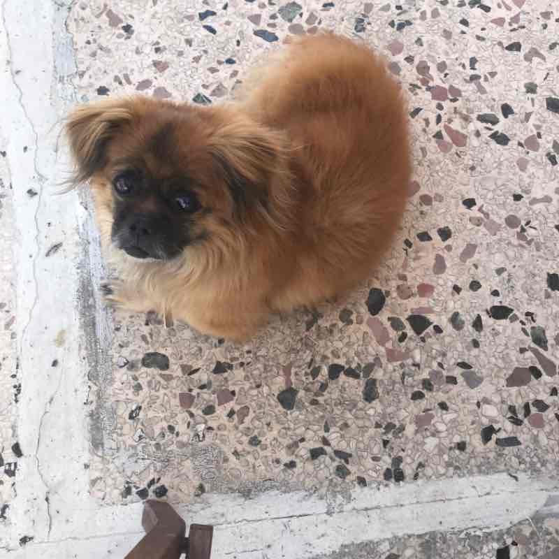 Anthi🎼🎶🎶🎵🎵 post 1