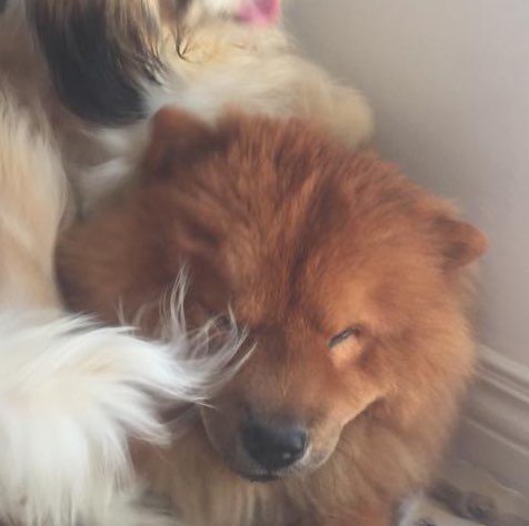 Nicholas, 3Ol , Andes