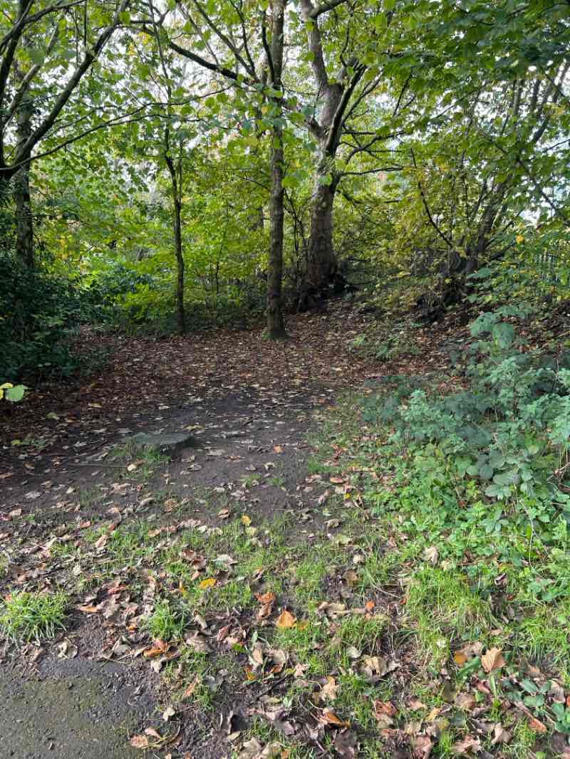 walking near me in South Park in autumn