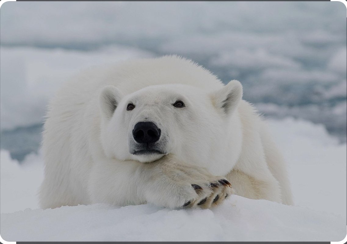 🇷🇺Татьяна🇷🇺 profile