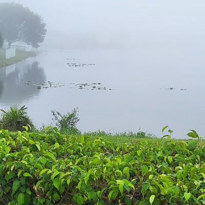 Ellie 2.0 🇬🇧🇯🇲🇺🇸 post 2