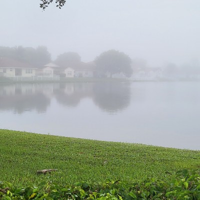 Ellie 2.0 🇬🇧🇯🇲🇺🇸 post 3