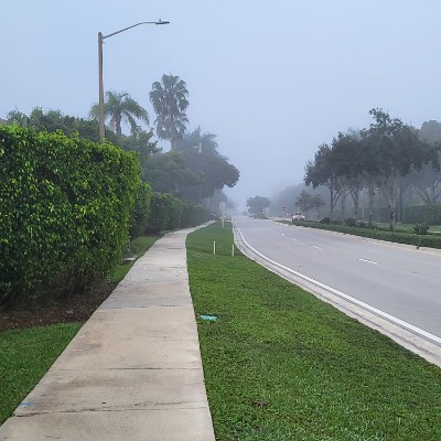 Ellie 2.0 🇬🇧🇯🇲🇺🇸 post 1