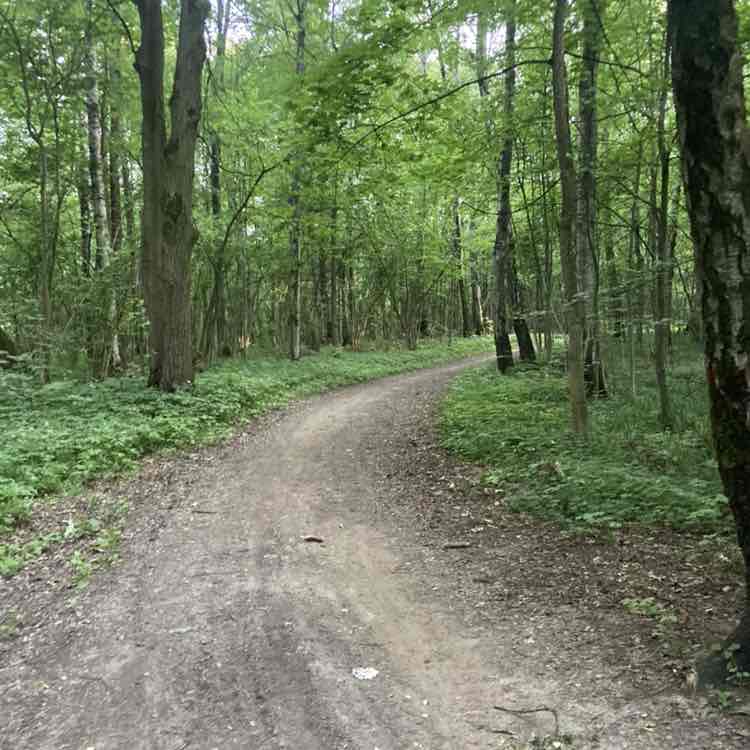 Николай post 3