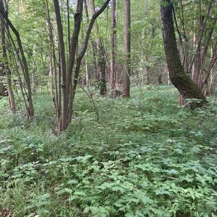 Николай post 2