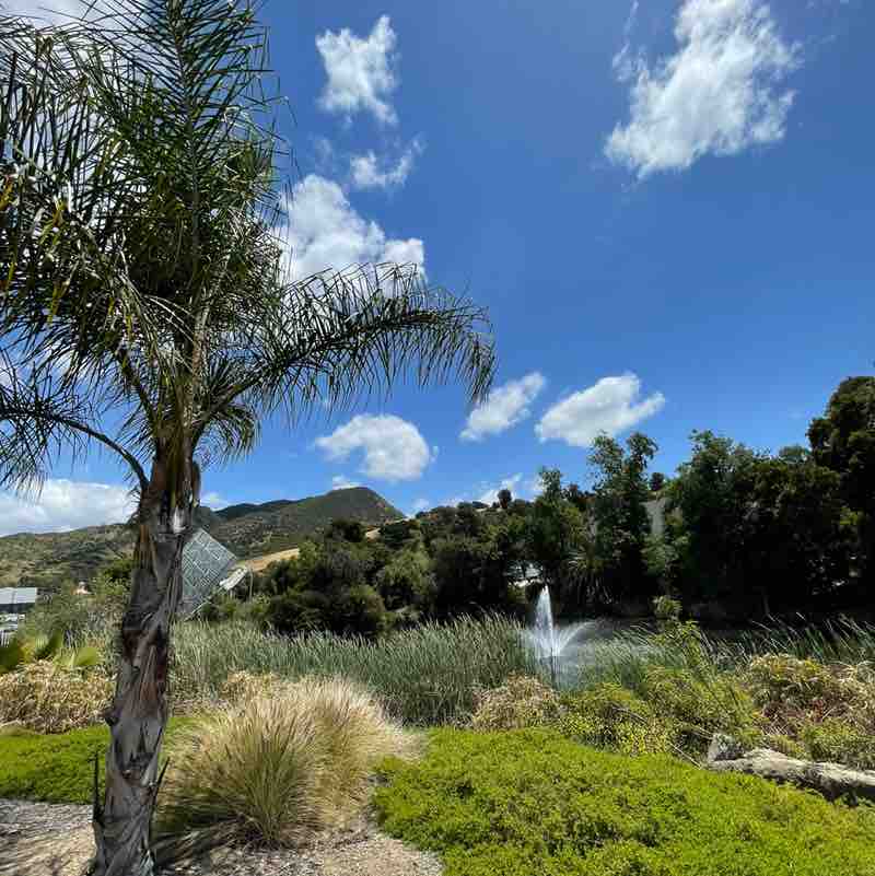 Destiny Moore post 2