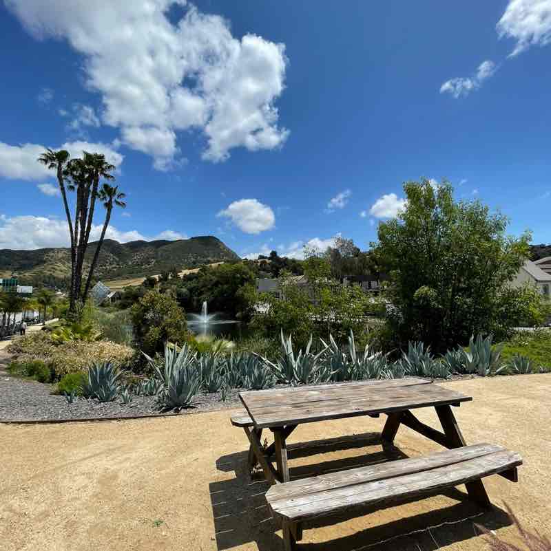 Destiny Moore post 1