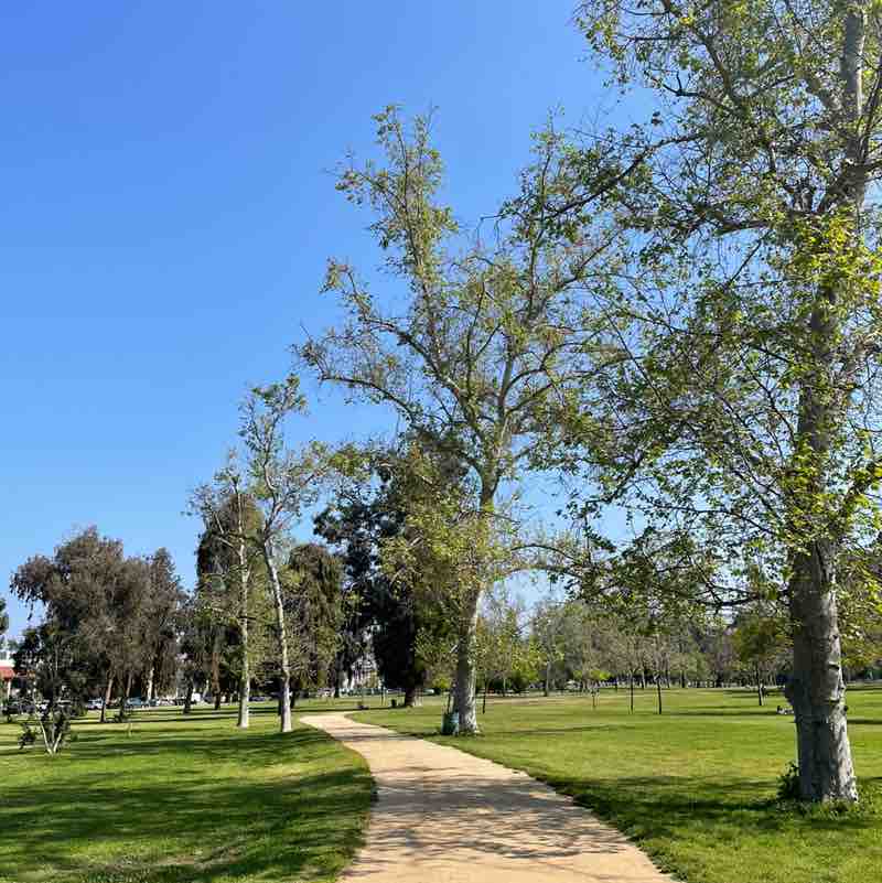 Destiny Moore post 1