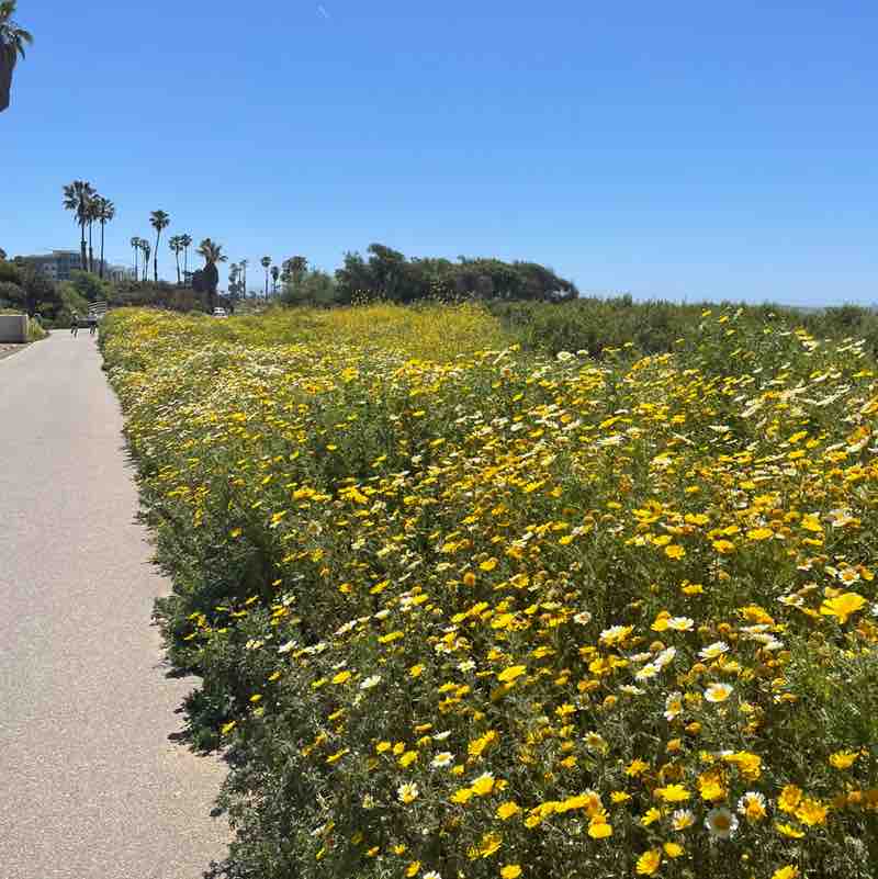 Destiny Moore post 3