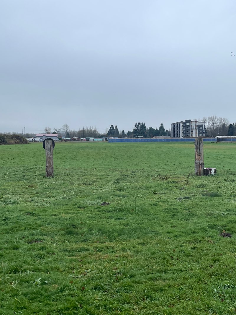 walking near me in Janicki Playfields in autumn