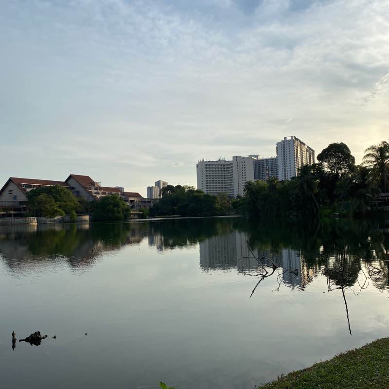 Dorothy Gadong post 1