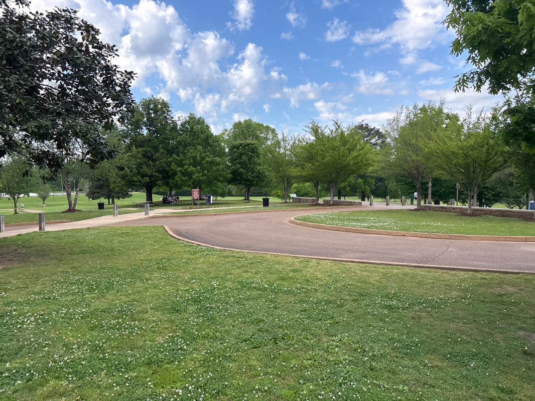 walking near me in Lamar Park in spring