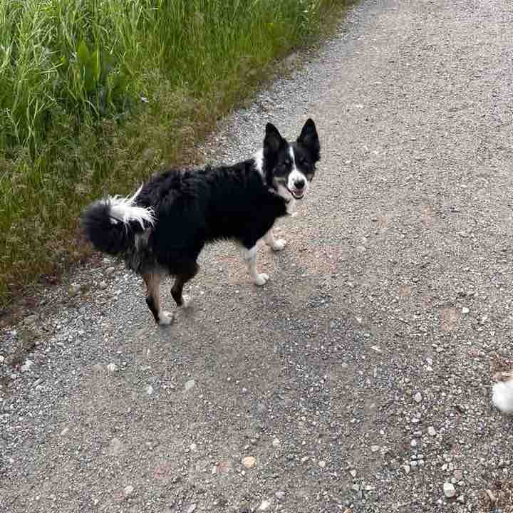 Charlee post 2