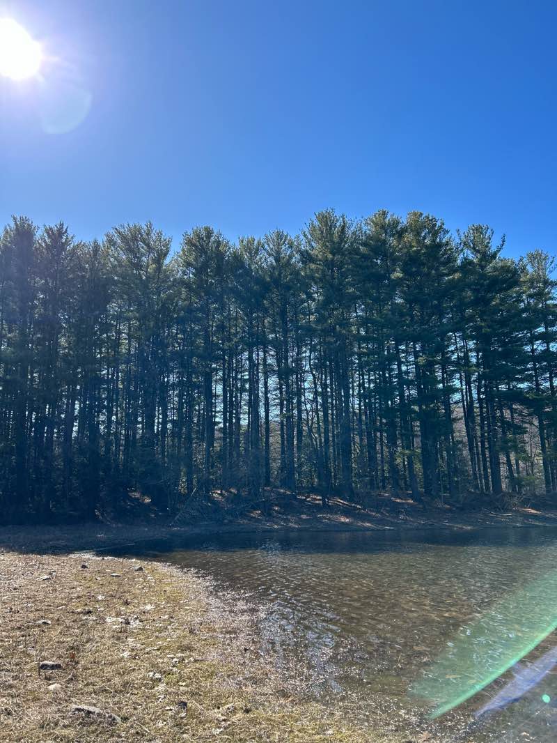 walking near me in Mt. Tom Natural Heritage Area in winter