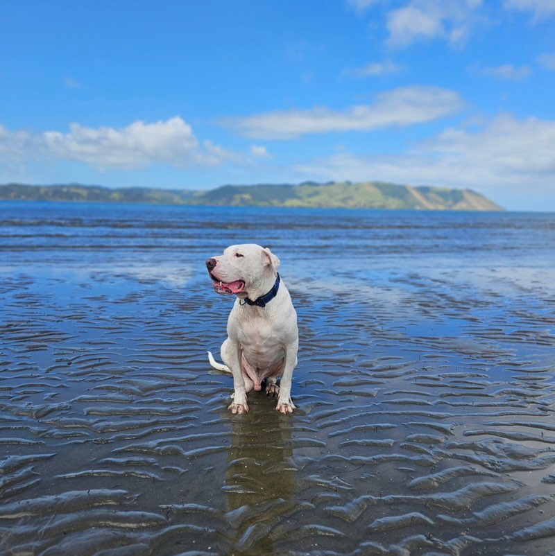 Christina Namulauulu