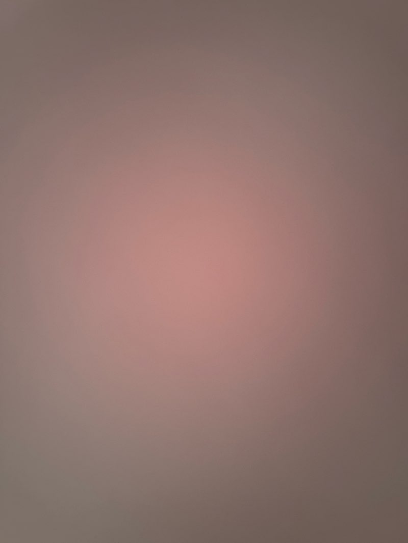 walking near me in Florida Park in autumn