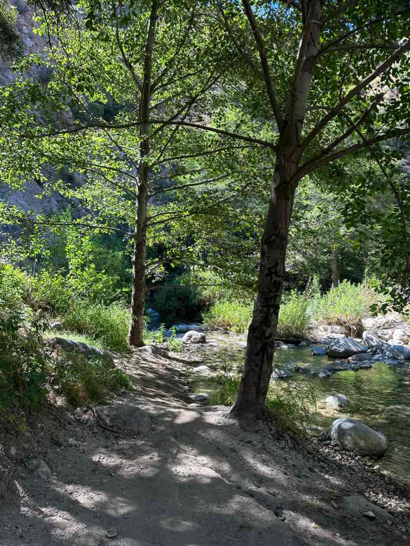 walking near me in Eaton Canyon Park in winter