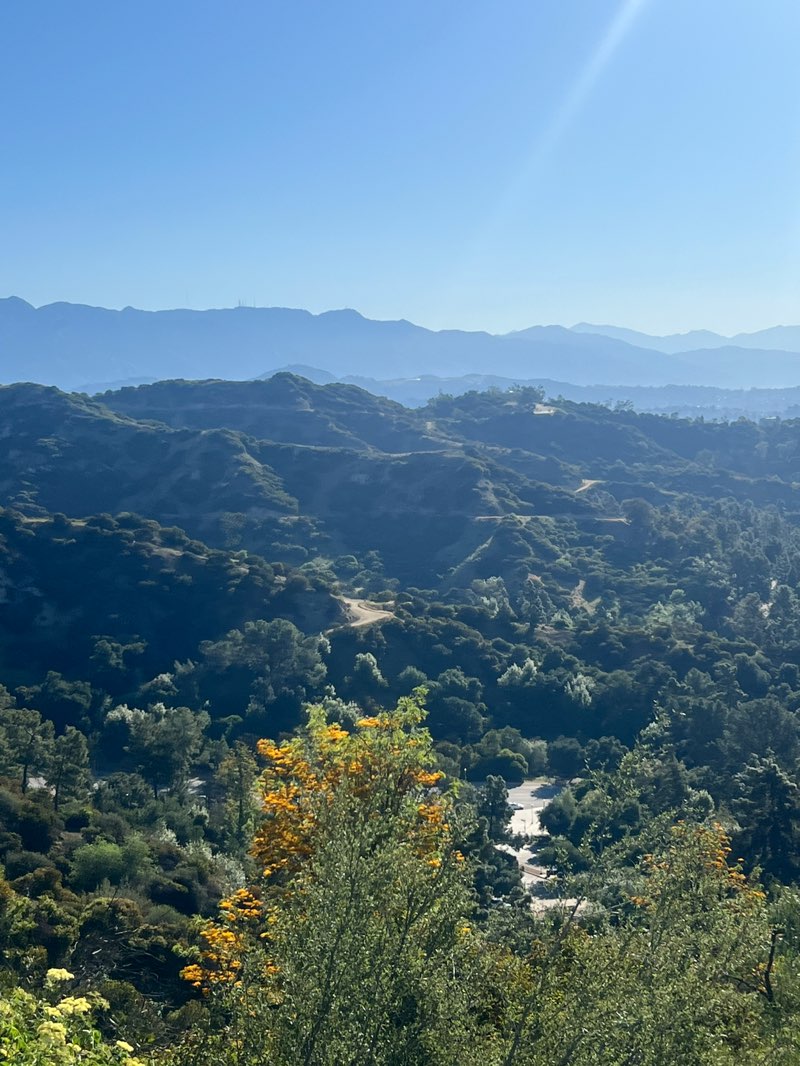 walking near me in Griffith Park in spring