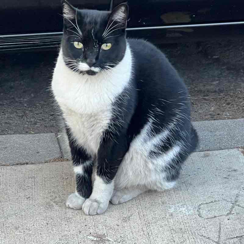 monicaarmenta71 post 1