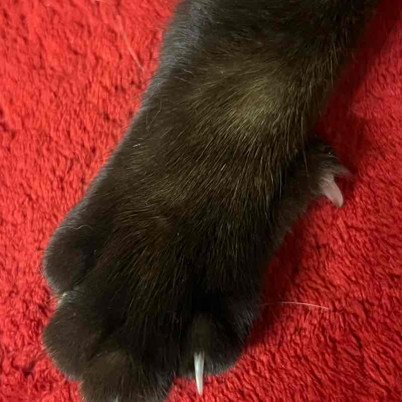 monicaarmenta71 post 1