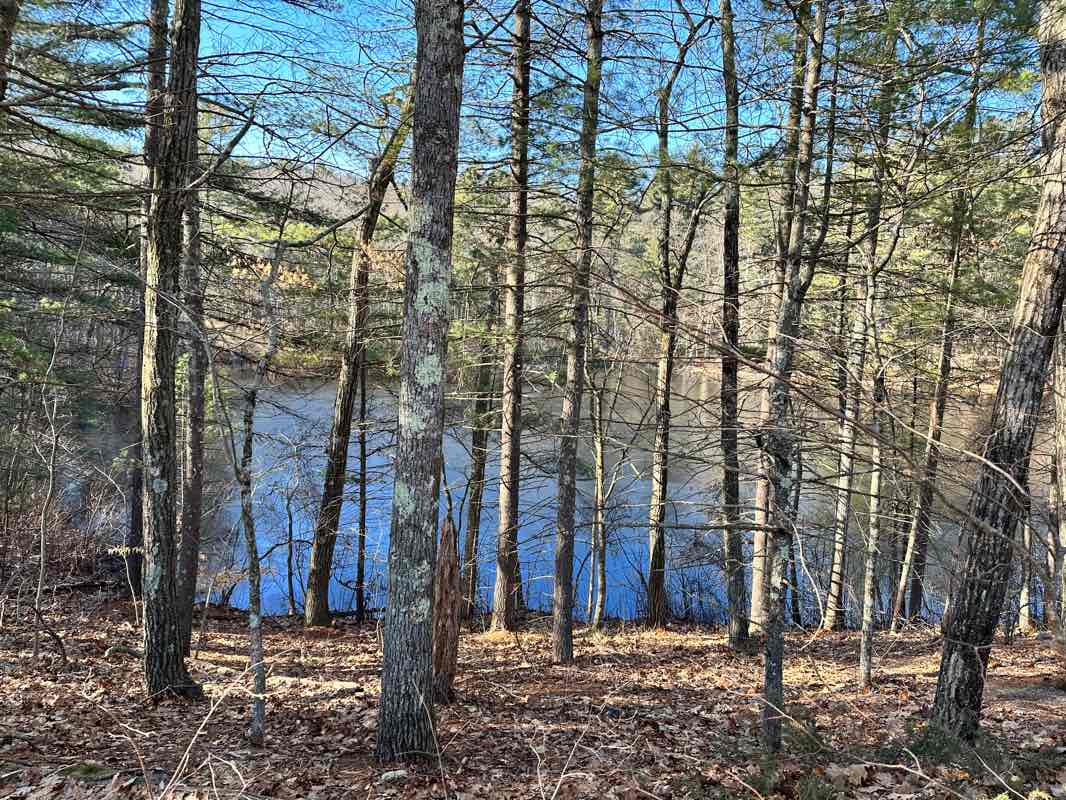 walking near me in Larabee Estate Conservation Area in winter