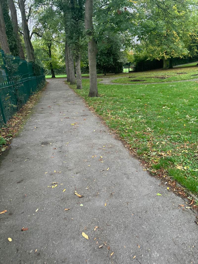 walking near me in Cudworth Park in autumn