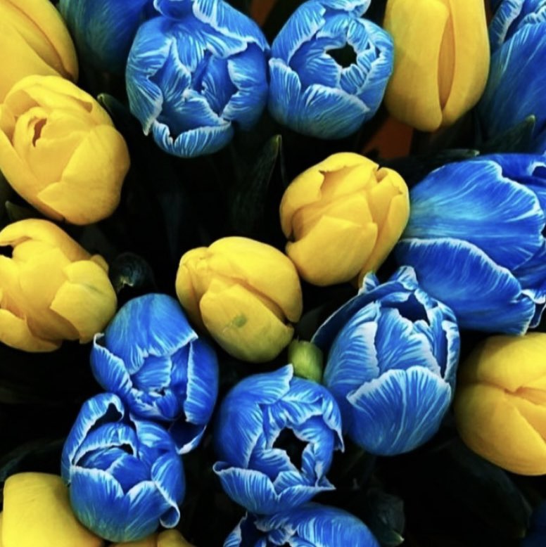 Надежда 💙💛🇺🇦 profile