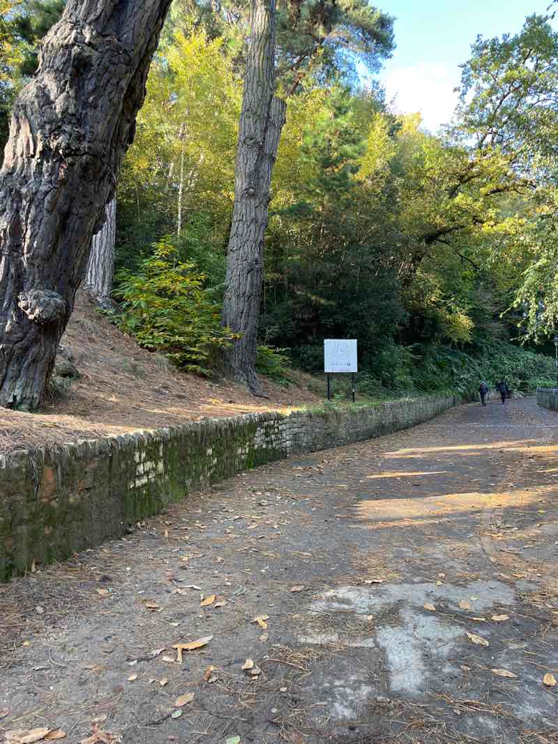 walking near me in Boscombe Chine Gardens in autumn