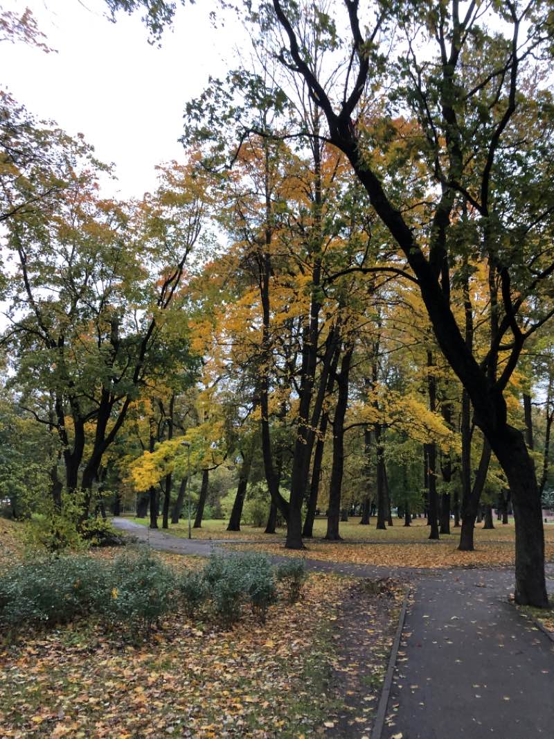 walking near me in Viesturdārzs in autumn