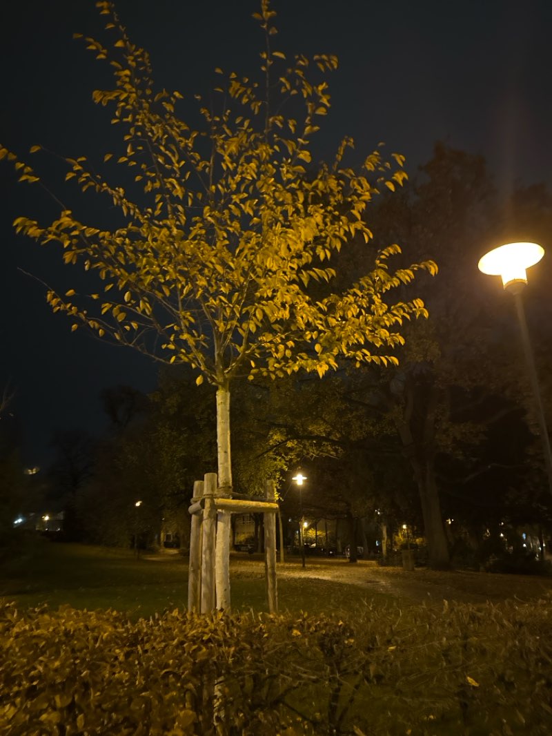 walking near me in Kapellplatz in autumn