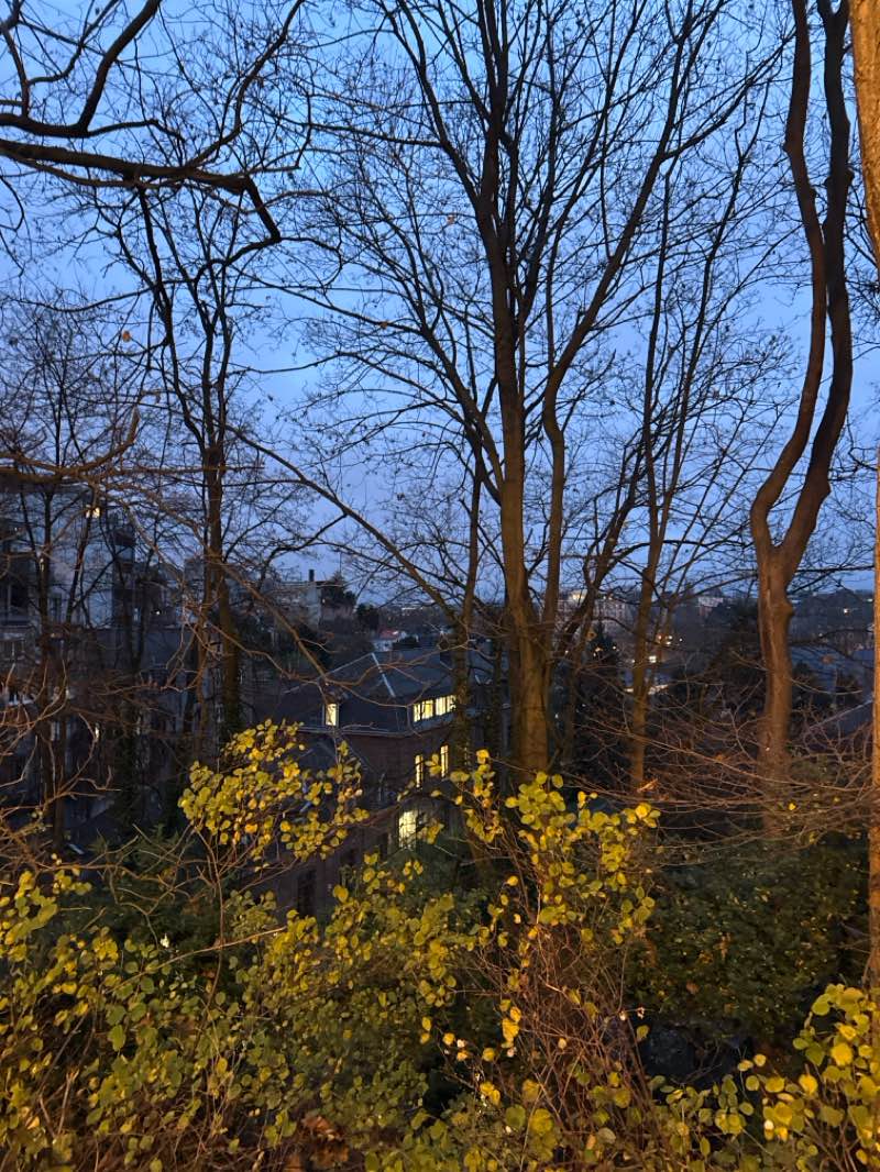 walking near me in Parc de la Porte de Hal - Hallepoortpark in winter