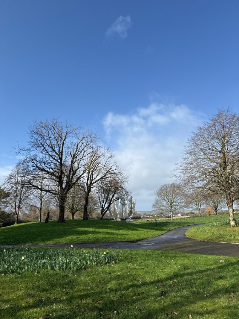 walking near me in Bailick Park in winter