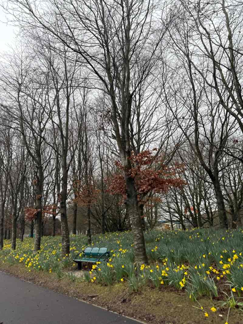 walking near me in Castle Lake Walk in winter