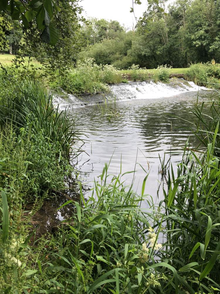 walking near me in Doneraile Wildlife Park in summer