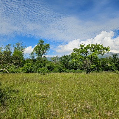 oksanawolfson post 2