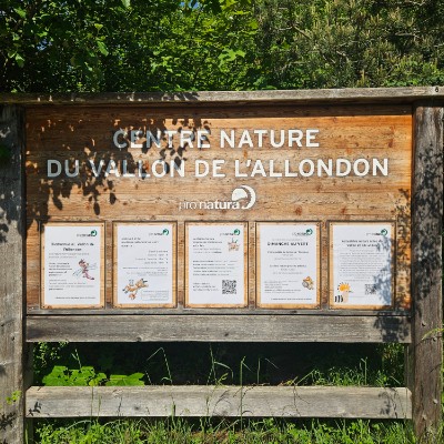 oksanawolfson post 1