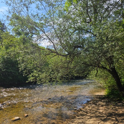 oksanawolfson post 3