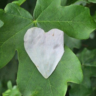 oksanawolfson post 1