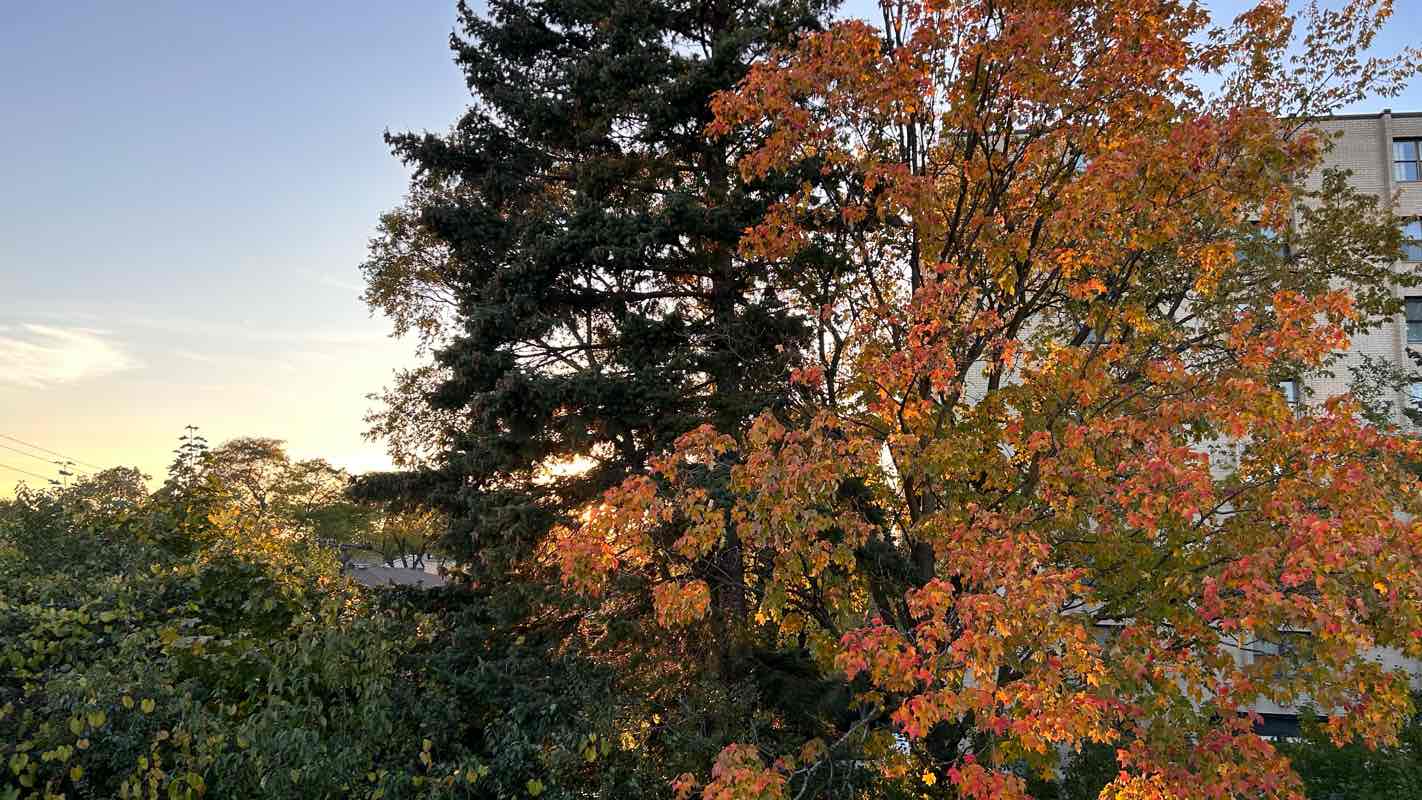walking near me in M. Lester Flowers Park in winter