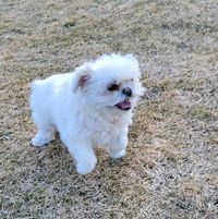 Laura🏳️‍🌈🇨🇦