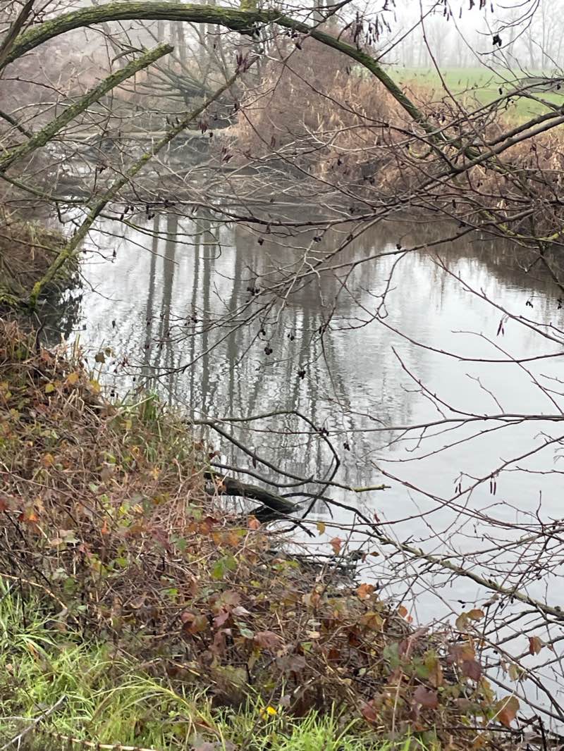 walking near me in Parco Martiri della Libertà in winter