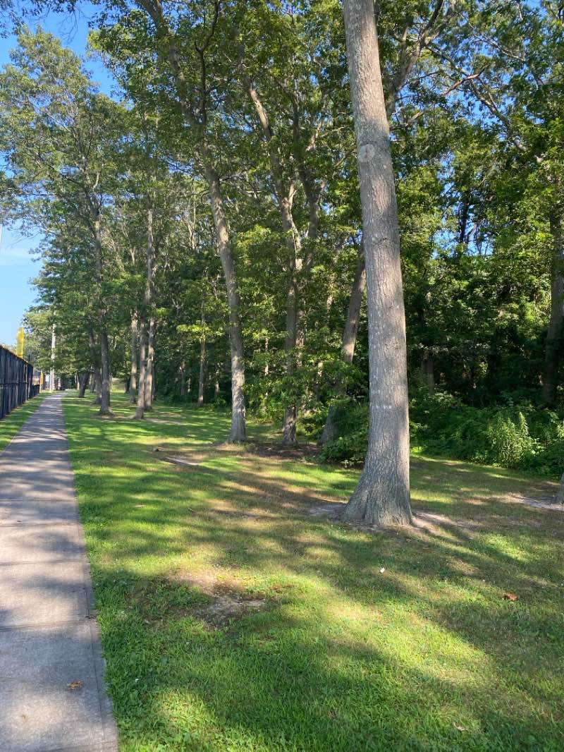 walking near me in Robert Miller Park in autumn
