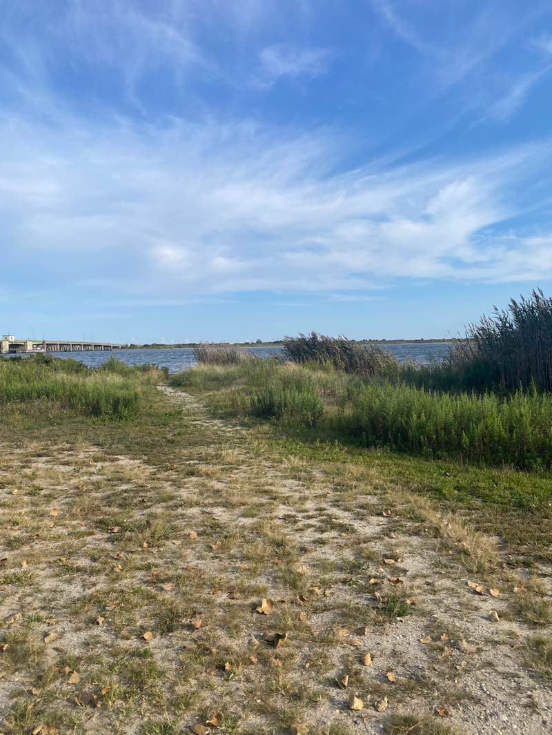 walking near me in Shirley Marina County Park in autumn