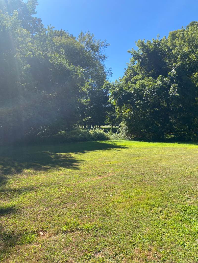 walking near me in Tintle Park in autumn