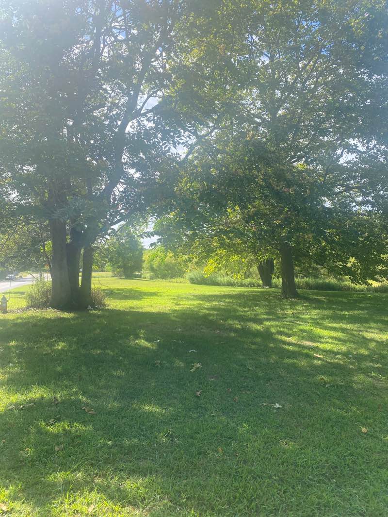 walking near me in Horton Avenue Park in autumn