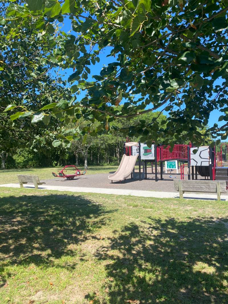 walking near me in Beaver Dam Park in autumn